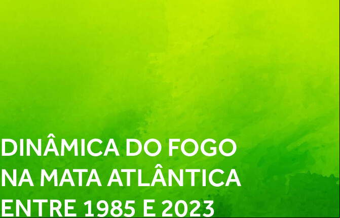 Alt da imagem