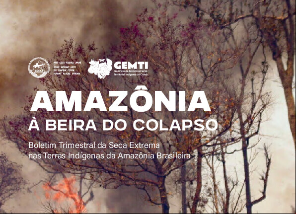Alt da imagem