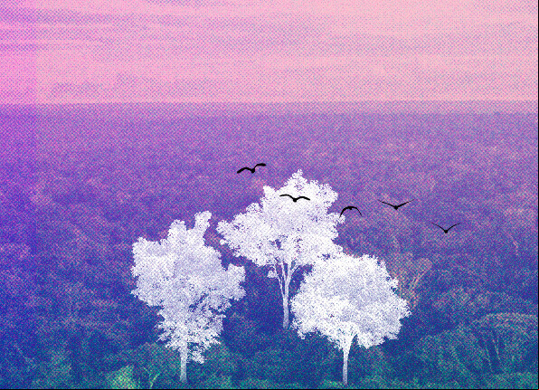Alt da imagem